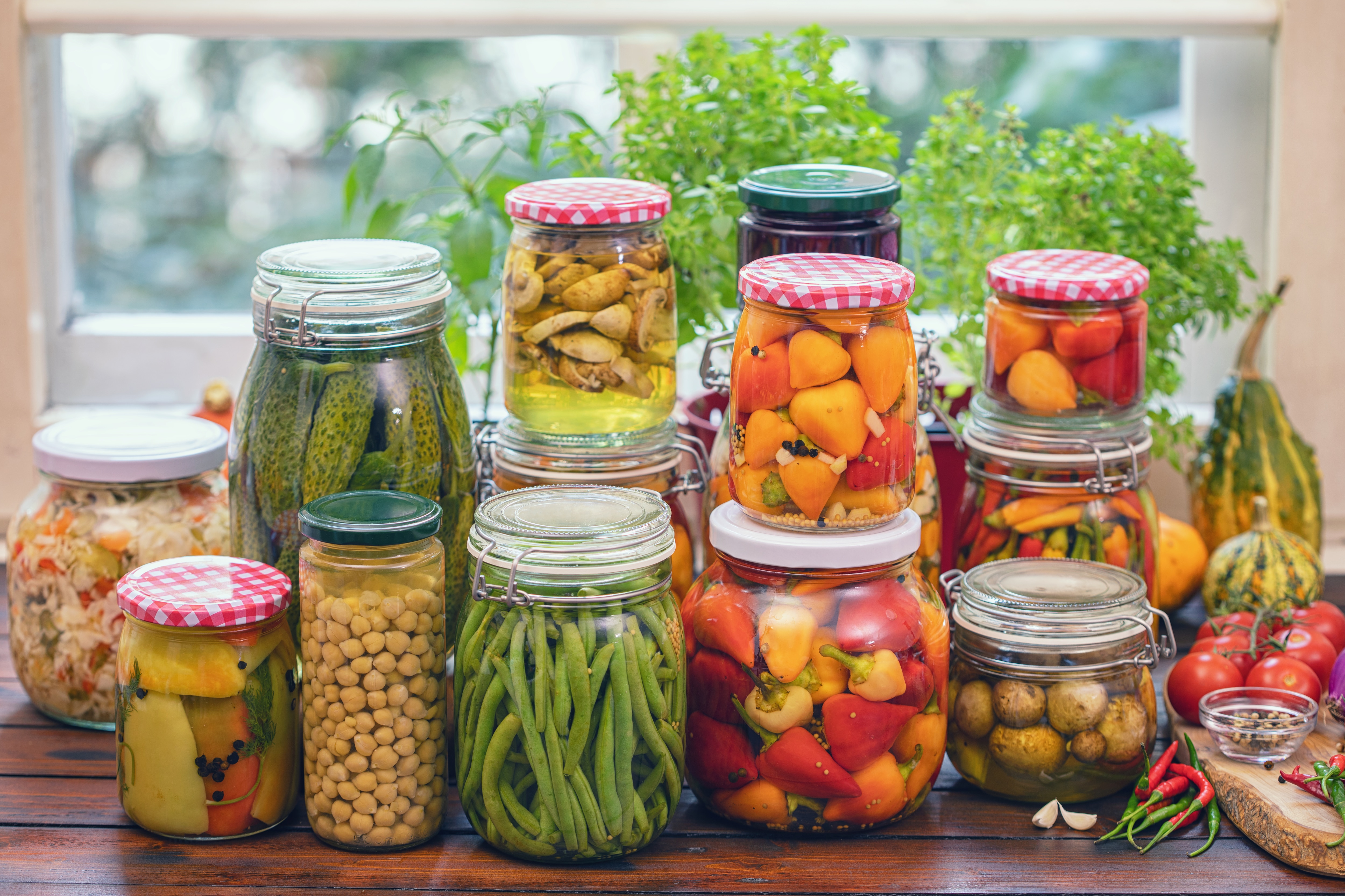 Gut-friendly plant-based alternatives packed with live cultures for digestive health.